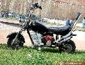 Harley davidson pocket bike