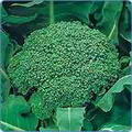 Foto von Broccoli