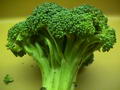 Foto von Broccoli