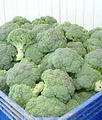 Foto von Broccoli