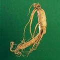 ginseng resmi