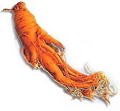 ginseng resmi