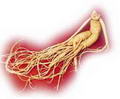 ginseng resmi