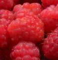 Photo de Raspberry