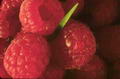 Photo de Raspberry