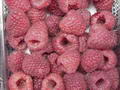Photo de Raspberry