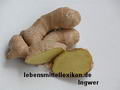 zencefil resmi