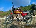  taş gibi honda