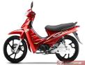 BUMOTO-BM SAFİR 100CC LÜX CUP